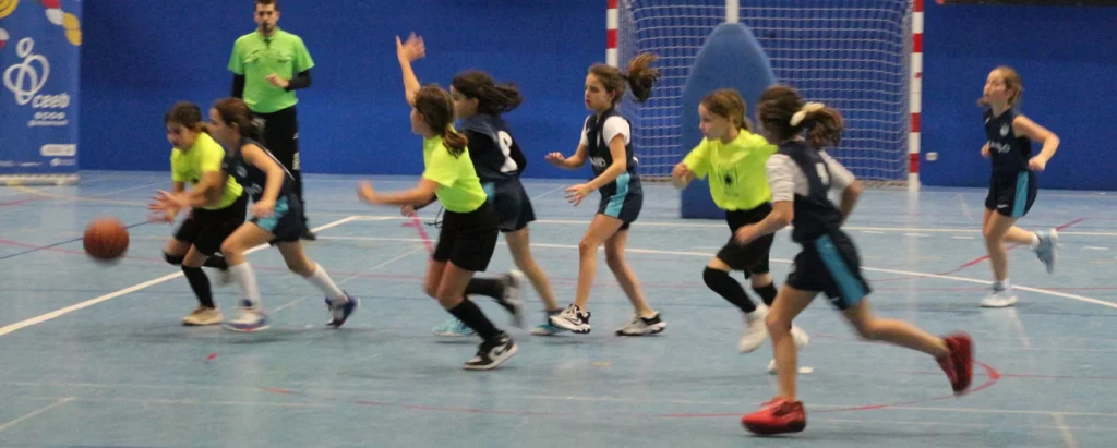 Partit de bàsquet femení