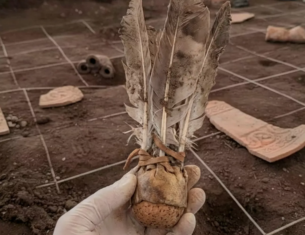 rp-innocentada Badmintum innocentada CEEB