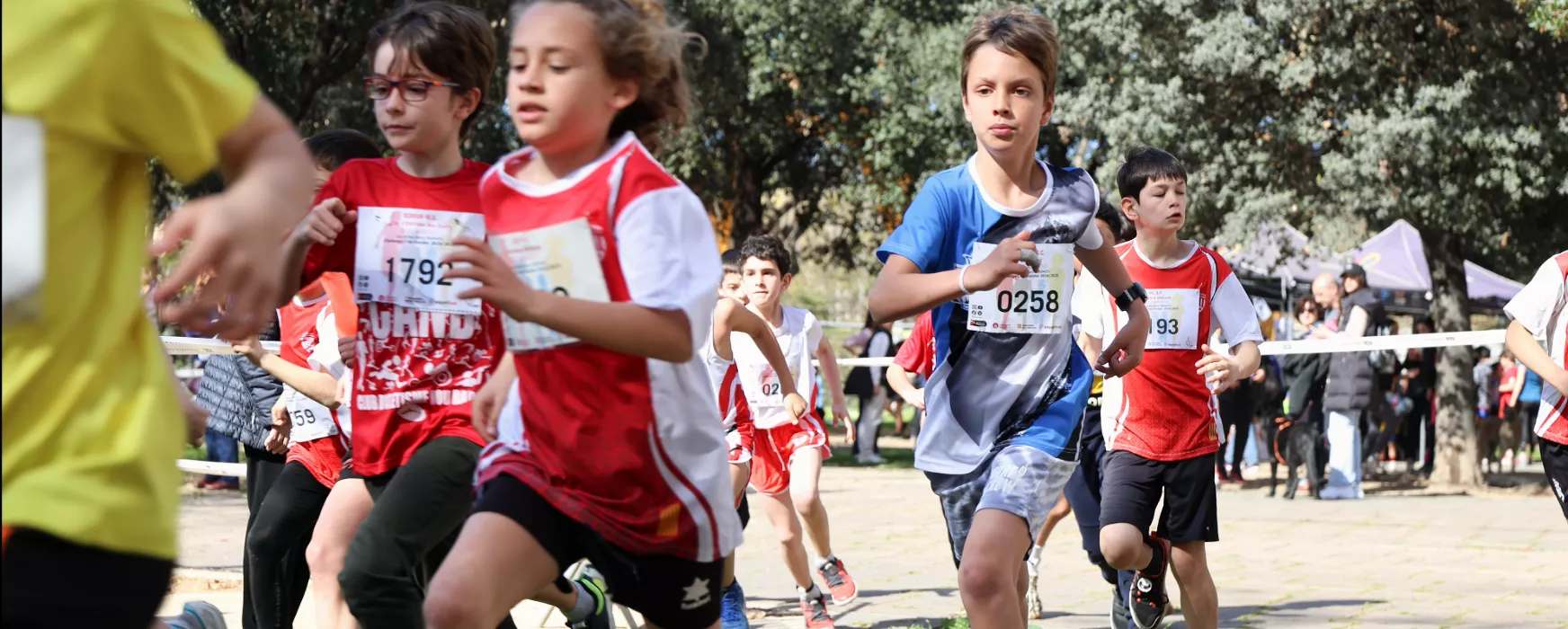 Cursa escolar de cros del CEEB