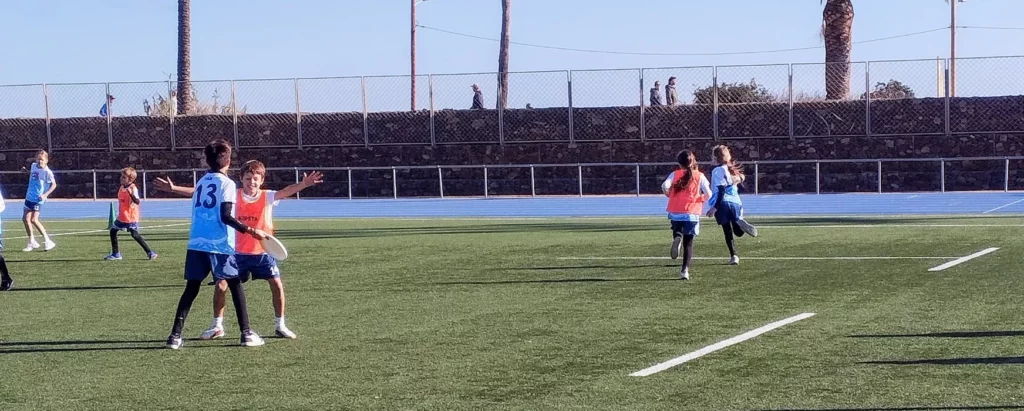 Ultimate Frisbee CEEB